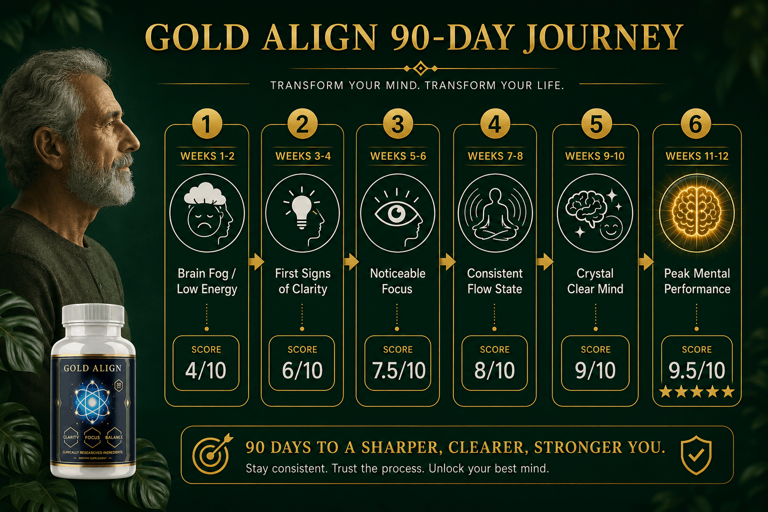 Gold Align Reviews 2026 - 90-Day Transformation Journey Timeline showing mental clarity progress from baseline to week 12